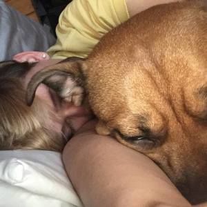 Meet your Posher, Edwin